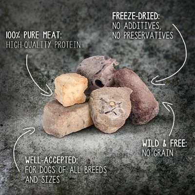 Wolf Of Wilderness RAW Freeze-dried Snacks Saver Packs 5 Wolf Of Wilderness RAW Freeze-dried Snacks Saver Packs - Image 3