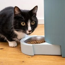 TIAKI Food And Water Dispenser, Light Blue -Zooplus Sales Shop 302496 duo napf mit katze fg 1019 0