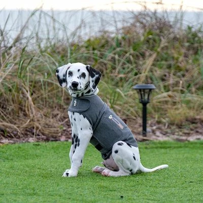 ThunderShirt® Calming Vest, Grey - Image 8