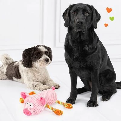 Doglove Dog Toy Pig 7 Doglove Dog Toy Pig - Image 5