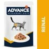 Advance Veterinary Diets Feline Renal 2 Advance Veterinary Diets Feline Renal -Zooplus Sales Shop 310196 affinityspain advance veterinarydiets felinerenal hs 07 1