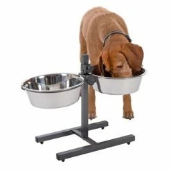 Dog Bowl Stand With 2 Stainless Steel Bowls -Zooplus Sales Shop 313523 kumar hundebar inklusive 2 edelstahln pfe 03 dsc5878 8