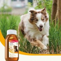 Beaphar Linseed Oil 6 Beaphar Linseed Oil -Zooplus Sales Shop 315199 beaphar leinol 430ml hs 04 4