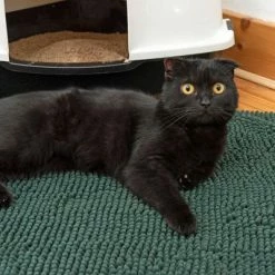 Kooa Dirt-trapping Mat -Zooplus Sales Shop 315296 kooa chenille litter mat fg 6045 8