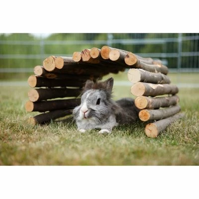 Trixie Bridge 4 Trixie Bridge - Image 2