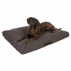 TIAKI Dog Mattress Memory Foam, Brown -Zooplus Sales Shop 318702 mit hund fg 5116 0