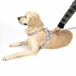 TIAKI Harness Neoprene, Grey -Zooplus Sales Shop 323033 neoprene geschirr l fg 1703 5