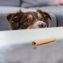 SmartSticks Wrapped Chew Sticks With Chicken -Zooplus Sales Shop 324401 smartsticks wrapped kausticks huhn stck hs 04 8