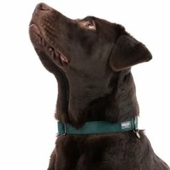 Nomad Tales Blush Necklace, Emerald -Zooplus Sales Shop 324698 blush l fg 7159 0