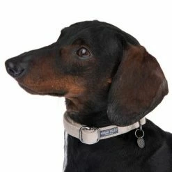 Nomad Tales Blush Necklace, Taupe -Zooplus Sales Shop 324699 blush s fg 6993 7