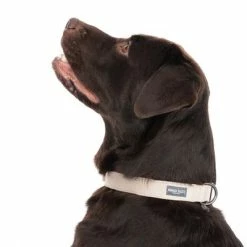 Nomad Tales Blush Necklace, Taupe -Zooplus Sales Shop 324701 blush l fg 7179 6