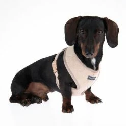 Nomad Tales Calma Harness - Sand 13 Nomad Tales Calma Harness - Sand -Zooplus Sales Shop 324711 calma m fg 7280 2