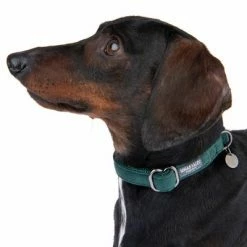 Nomad Tales Blush Necklace, Emerald -Zooplus Sales Shop 324796 blush s fg 6972 5