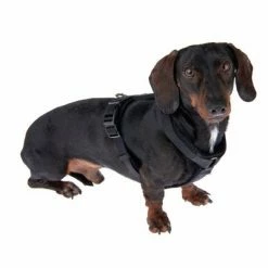 Nomad Tales Blush Harness - Ebony 13 Nomad Tales Blush Harness - Ebony -Zooplus Sales Shop 325401 blush s fg 6954 3