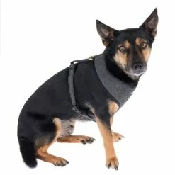 Nomad Tales Calma Harness - Ebony -Zooplus Sales Shop 325898 calma fg 7822 6