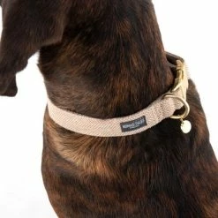 Nomad Tales Calma Collar, Sand -Zooplus Sales Shop 325903 calma l sand fg 7961 6