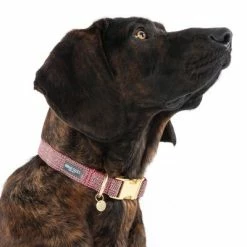 Nomad Tales Calma Collar, Burgundy -Zooplus Sales Shop 325904 calma l burgundy fg 7947 8