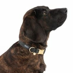 Nomad Tales Calma Collar, Ebony 12 Nomad Tales Calma Collar, Ebony -Zooplus Sales Shop 326805 calma l ebony fg 7924 8