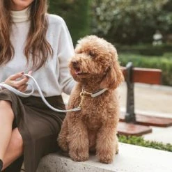 Nomad Tales Calma Dog Leash, Stone -Zooplus Sales Shop 326806 326197 nomad tales calma halsband stone 03 5 1