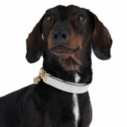 Nomad Tales Calma Collar, Stone 14 Nomad Tales Calma Collar, Stone -Zooplus Sales Shop 326807 calma m fg 7321 6