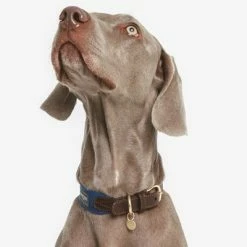 Nomad Tales Bloom Necklace, Sapphire -Zooplus Sales Shop 327096 nomad tales bloom halsband sapphire 03 5