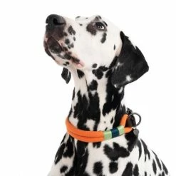 Nomad Tales Spirit Collar, Tangerine -Zooplus Sales Shop 328997 spirit l fg 7427 6