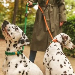 Nomad Tales Spirit Leash, Pine -Zooplus Sales Shop 329007 nomad tales spirit leinen halsbaender 02 7