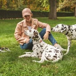 Nomad Tales Spirit Collar, Stone -Zooplus Sales Shop 329197 nomad tales spirit halsband stone 04 4