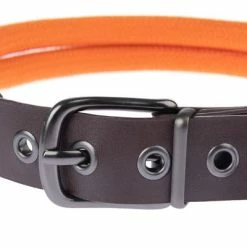 Nomad Tales Spirit Collar, Tangerine -Zooplus Sales Shop 329297 nomad tales spirit leinen halsbaender fg 1754 8