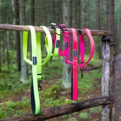 Rukka® Set Bliss Neon Collar & Leash, Pink 15 Rukka® Set Bliss Neon Collar & Leash, Pink -Zooplus Sales Shop 331496 331596 331696 331697 331796 331597 331598 rukk setbliss neon halsband leine pink hs 03 1