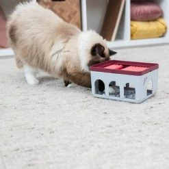 Trixie Cat Activity Rod Box -Zooplus Sales Shop 332214 trixie cat activity rod box hs 09 1