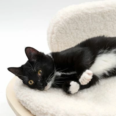 Modern Living Sofa Osaka 7 Modern Living Sofa Osaka - Image 5