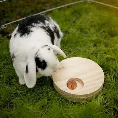 Kerbl Thinking & Learning Game Table 5 Kerbl Thinking & Learning Game Table - Image 3