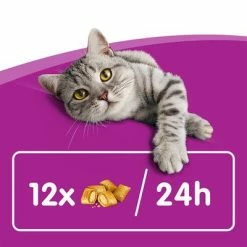 Whiskas Temptations Mixed Pack -Zooplus Sales Shop 348898 mars whiskas snacks mixpack 16x60g hs 04 8