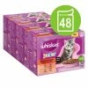 Whiskas Junior Pouches 48 X 85g -Zooplus Sales Shop 355998 mars whiskas junior klassische auswahl sauce 48x 7