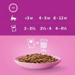 Whiskas Junior Pouches 48 X 85g -Zooplus Sales Shop 355998 megapack whiskas junior frischebeutel klassischeauswahl 48x hs 07 3