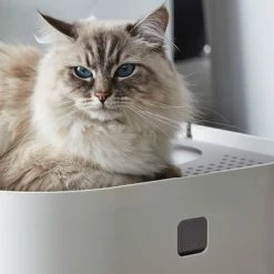 Modko ModKat Cat Litter Box 14 Modko ModKat Cat Litter Box -Zooplus Sales Shop 35895 modkat katzentoilette wei hs 03 1