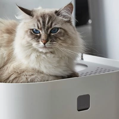 Modko ModKat Cat Litter Box 7 Modko ModKat Cat Litter Box - Image 5