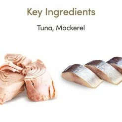 Applaws Pouches Cat Food In Jelly Mega Pack 32 X 70g 12 Applaws Pouches Cat Food In Jelly Mega Pack 32 X 70g -Zooplus Sales Shop 362008 applaws pouch thunfischmakrele 70g hs 02 2