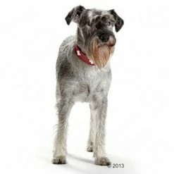 HUNTER Swiss Dog Collar -Zooplus Sales Shop 36707 hunter halsband swiss hund 05 2013 4