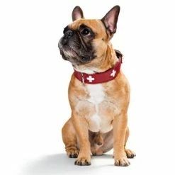 HUNTER Swiss Dog Collar -Zooplus Sales Shop 36707 hunter swiss3 3