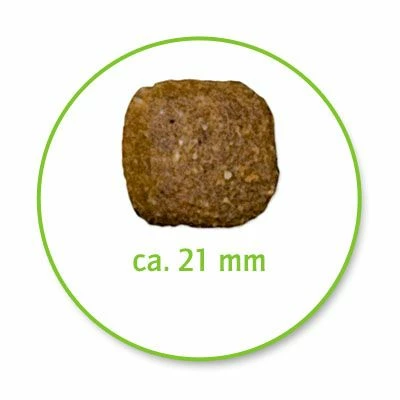 Belcando Junior Maxi 5 Belcando Junior Maxi - Image 3