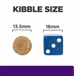 Hill's Prescription Diet Canine U/d Urinary Care -Zooplus Sales Shop 3 pd ud dog bk24705m food look uk 1