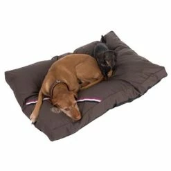 Champion Dog Cushion -Zooplus Sales Shop 433716 hundekissen champion 09 dsc0552 5