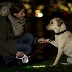 Flexi LED Lighting System -Zooplus Sales Shop 442465 flexi vario led lighting system hund 5