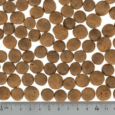 Wolf Of Wilderness Adult Classic "Red" Trial Pack 3 X 1kg 8 Wolf Of Wilderness Adult Classic "Red" Trial Pack 3 X 1kg - Image 6