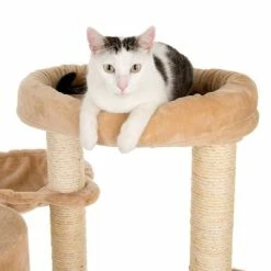 Bear's Den Cat Tree -Zooplus Sales Shop 49702 kratzbaum baerenhoehle fg 4761 6