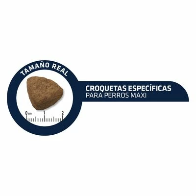 Advance Maxi Adult 6 Advance Maxi Adult - Image 4