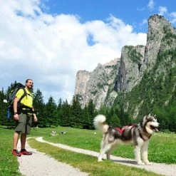 NEEWA Bungee Line Lead -Zooplus Sales Shop 505646 hp neewa bungee leine im einsatz 9