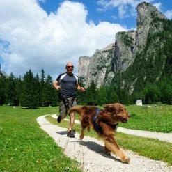 NEEWA Running Harness - Red -Zooplus Sales Shop 505648 hs neewa running harness rot im einsatz 4